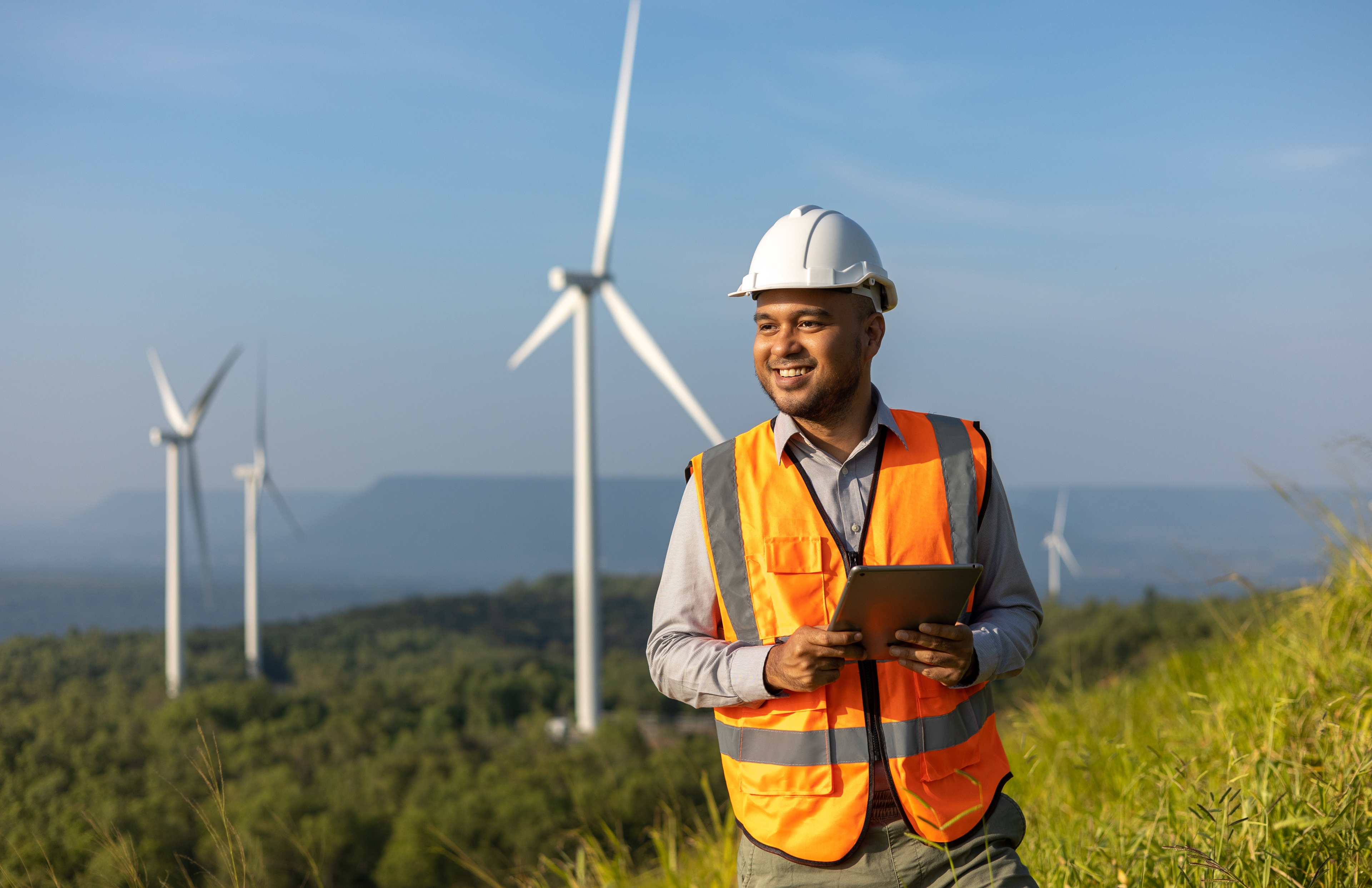 Renewable Wind Project in Andhra Pradesh project image